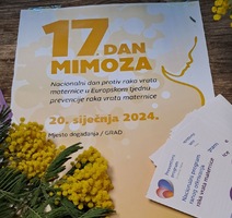 Dan mimoza prvi put održan po snijegu i zubatom suncu labinstina info