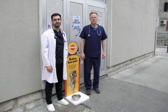 Rješenje za osvježenje! Labinski veterinari učinili lijepu gestu