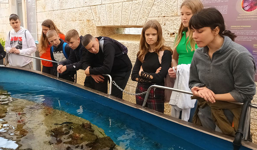 Labinski učenici u Aquariumu