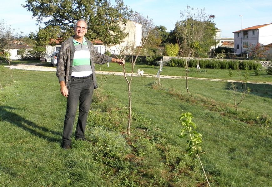 Šime Martinović na svojoj plantaži divljih šparuga u Vinežu